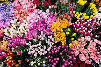 《水银疗养院》试玩Demo 4月22日上线 年内发售